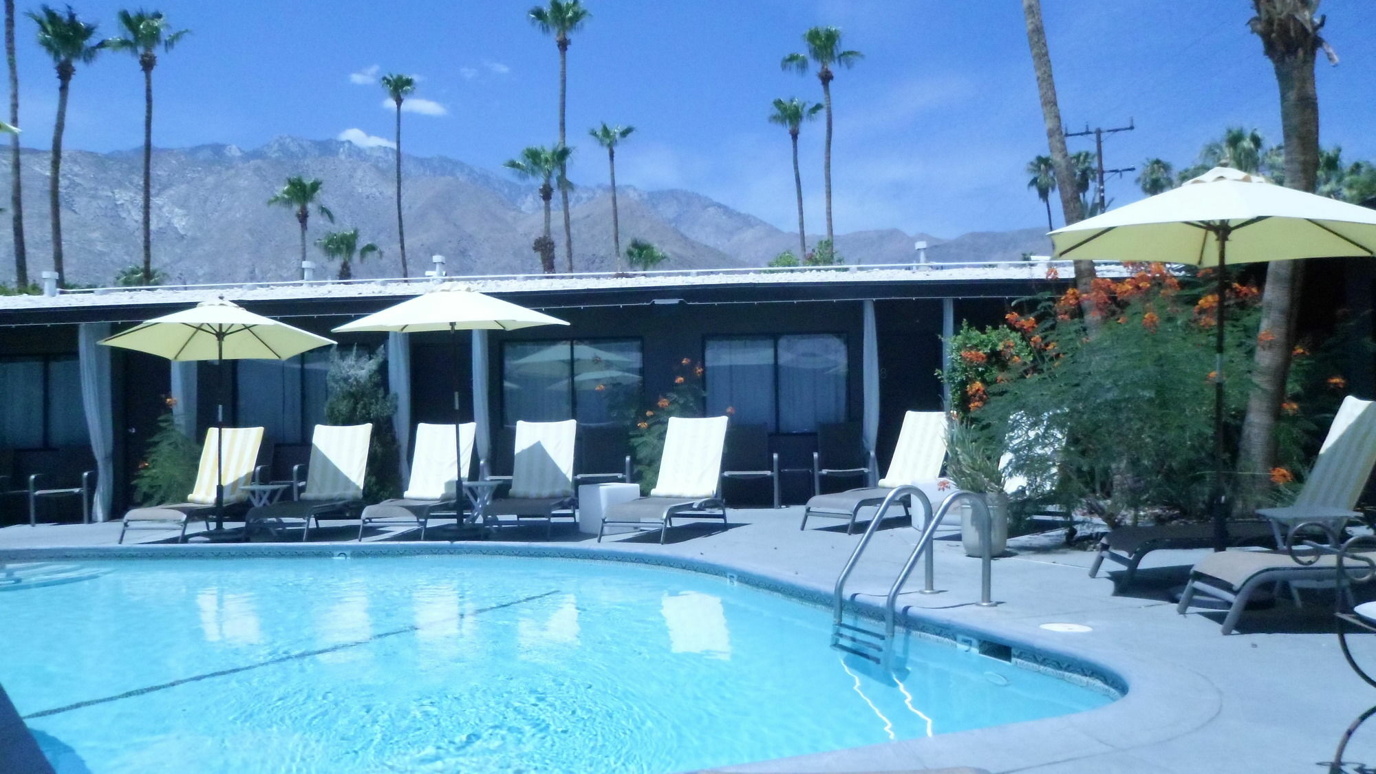 Avanti Hotel Palm Springs Buitenkant foto