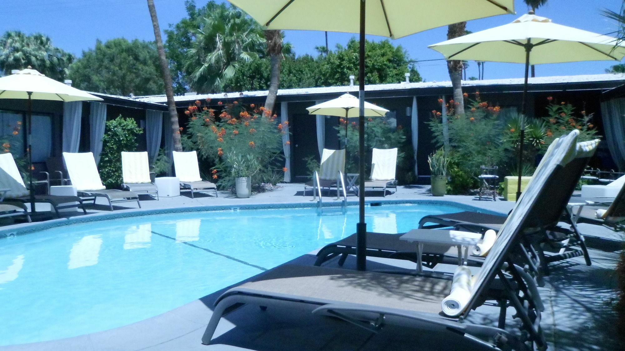 Avanti Hotel Palm Springs Buitenkant foto