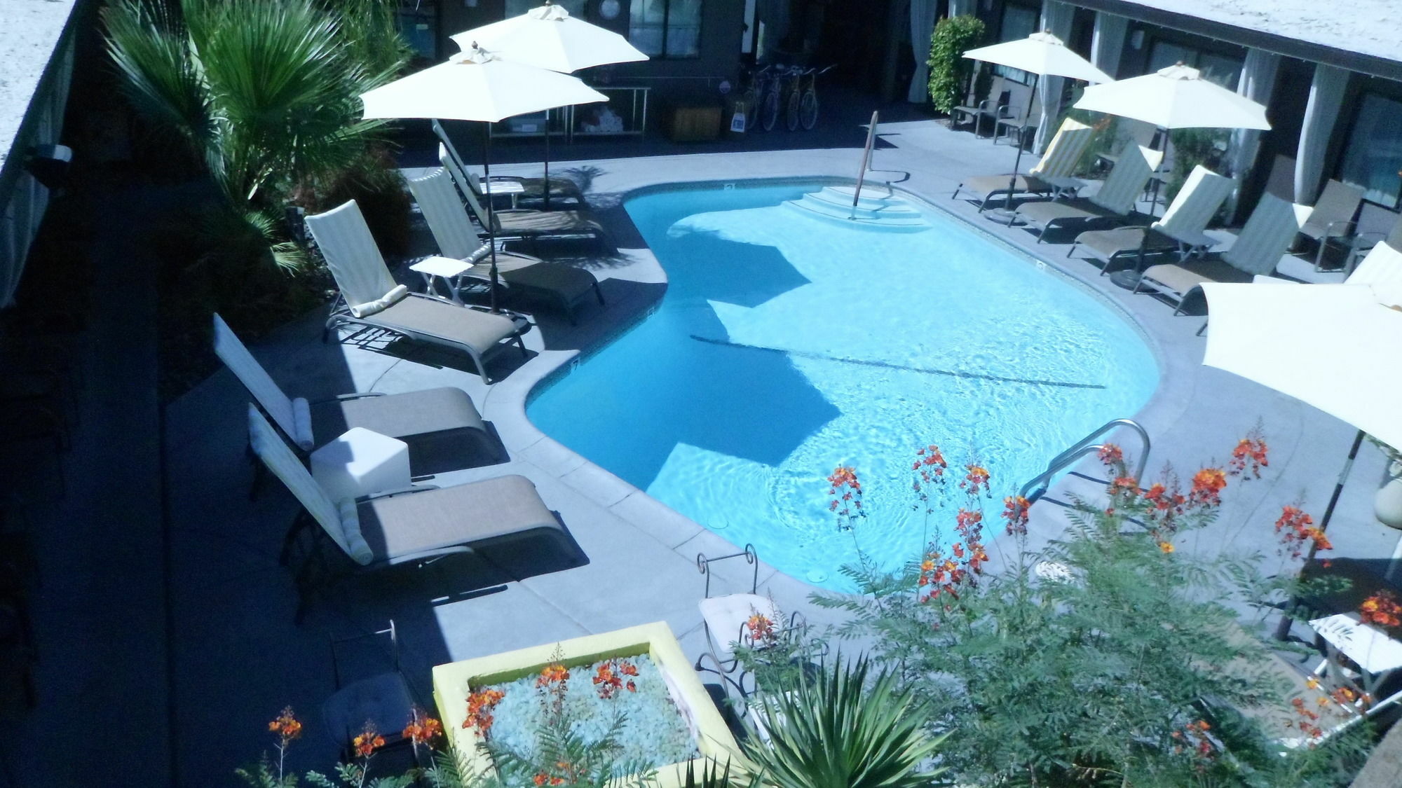 Avanti Hotel Palm Springs Buitenkant foto