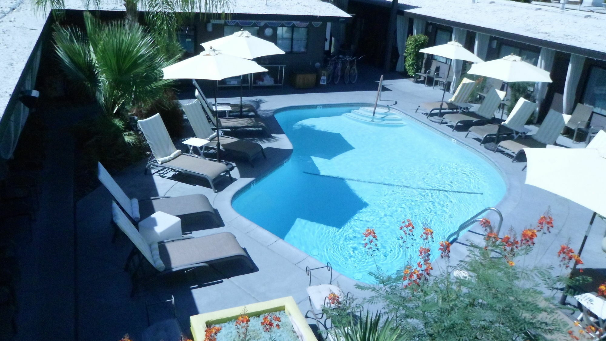 Avanti Hotel Palm Springs Buitenkant foto